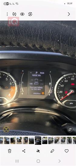 جيب رينيجيد